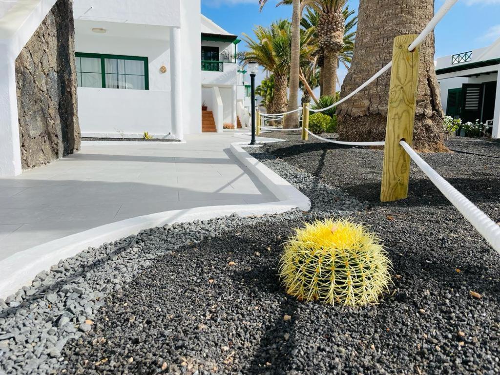 Casa Adelfa Apartman Puerto del Carmen  Kültér fotó